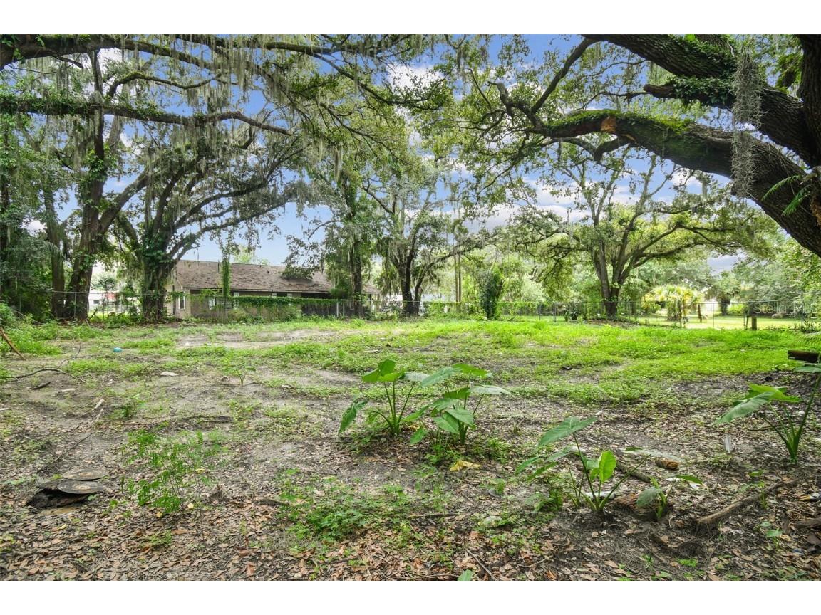 308 E Damon Street Plant City FL 33563 T3546529 image6