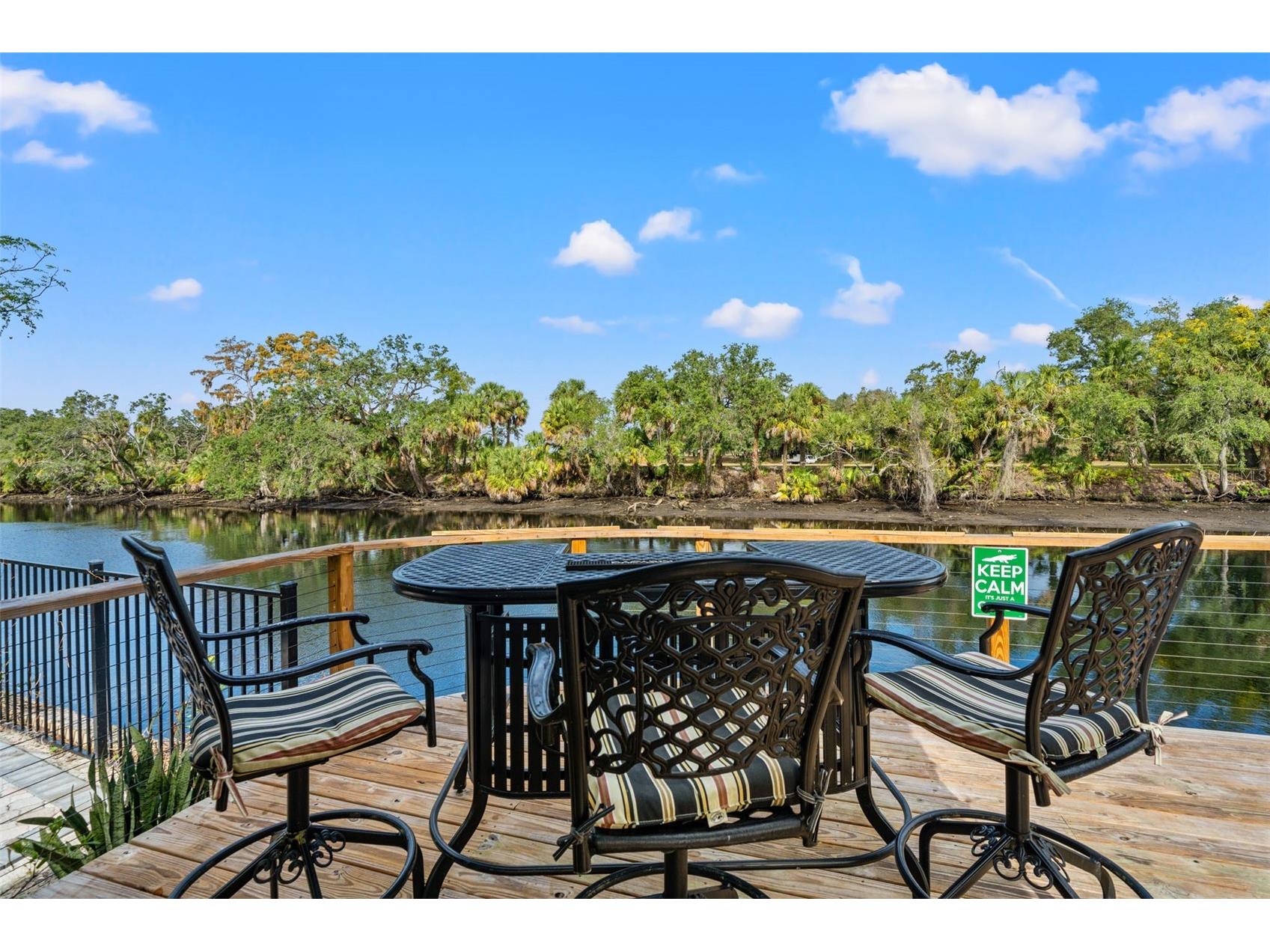 308 E Hollywood Street Tampa FL 33604 - HILLSBOROUGH RIVER TB8525706 image3