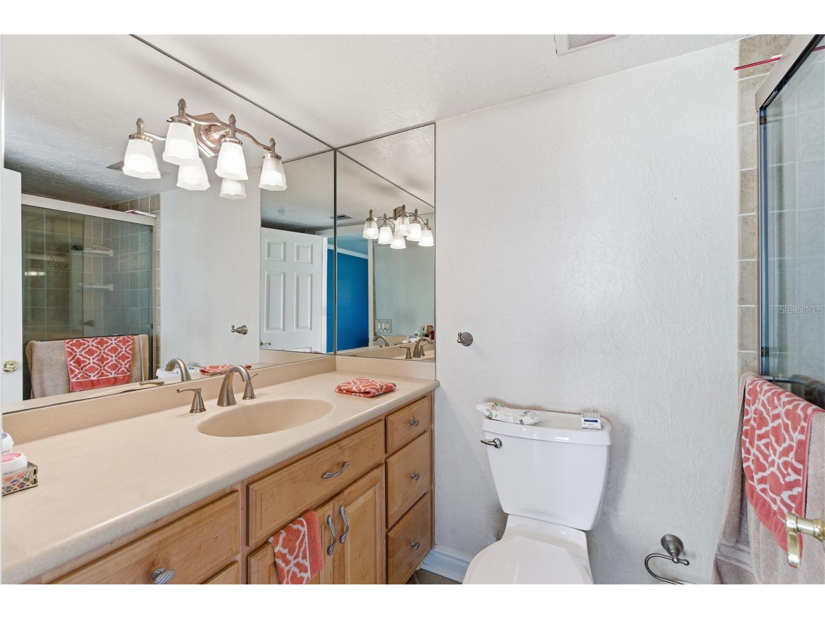 308 Ellen Way Brandon FL 33510 TB8492126 image13