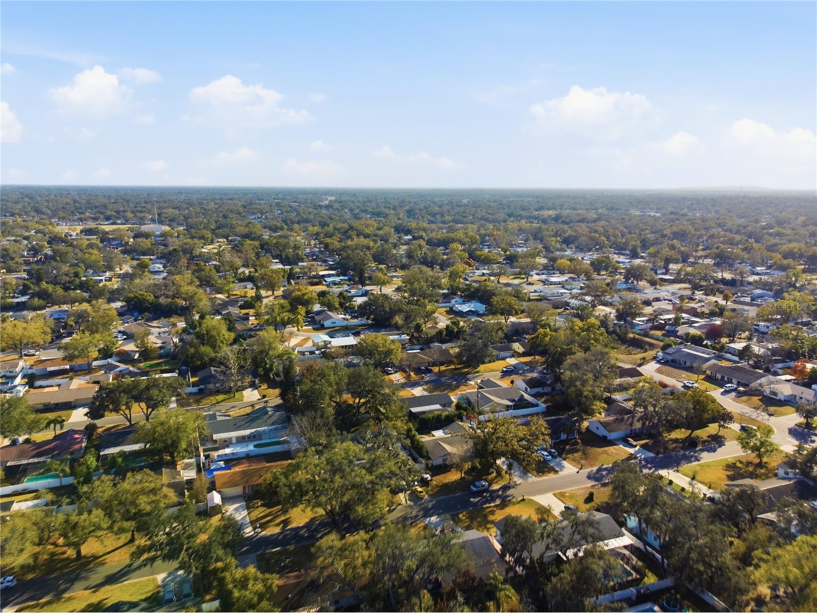 308 Ellen Way Brandon FL 33510 TB8492126 image42