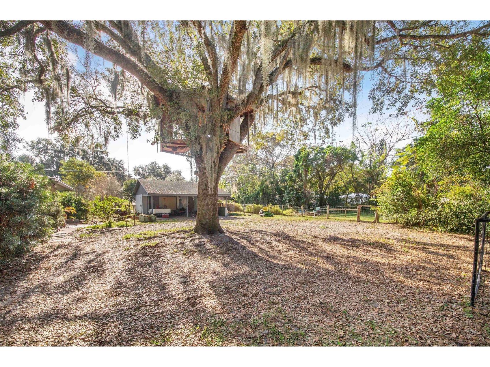 308 Granada Road Auburndale FL 33823 P4937498 image29