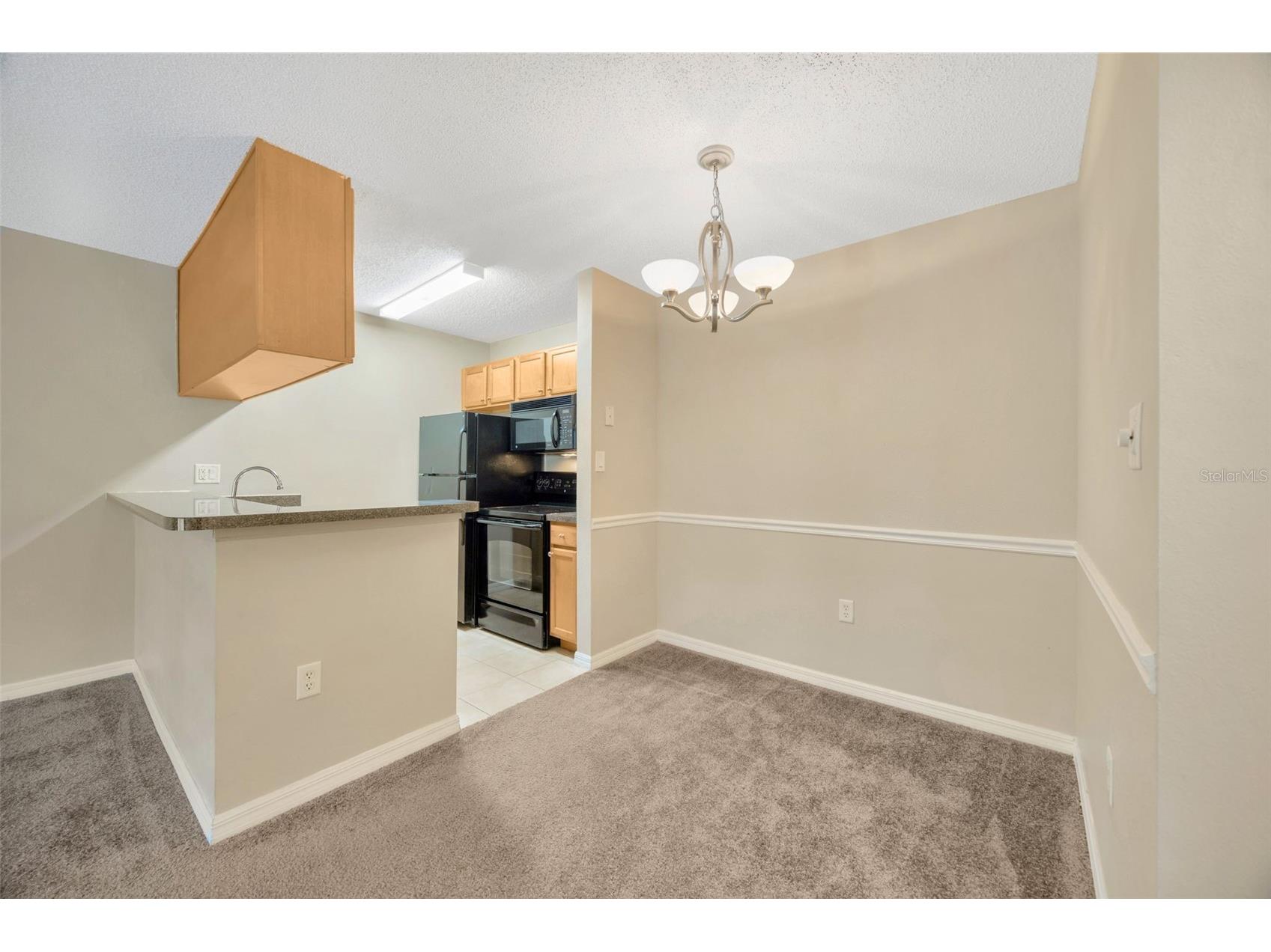 308 Lake Parsons Green #105 Brandon FL 33511 TB8515365 image27