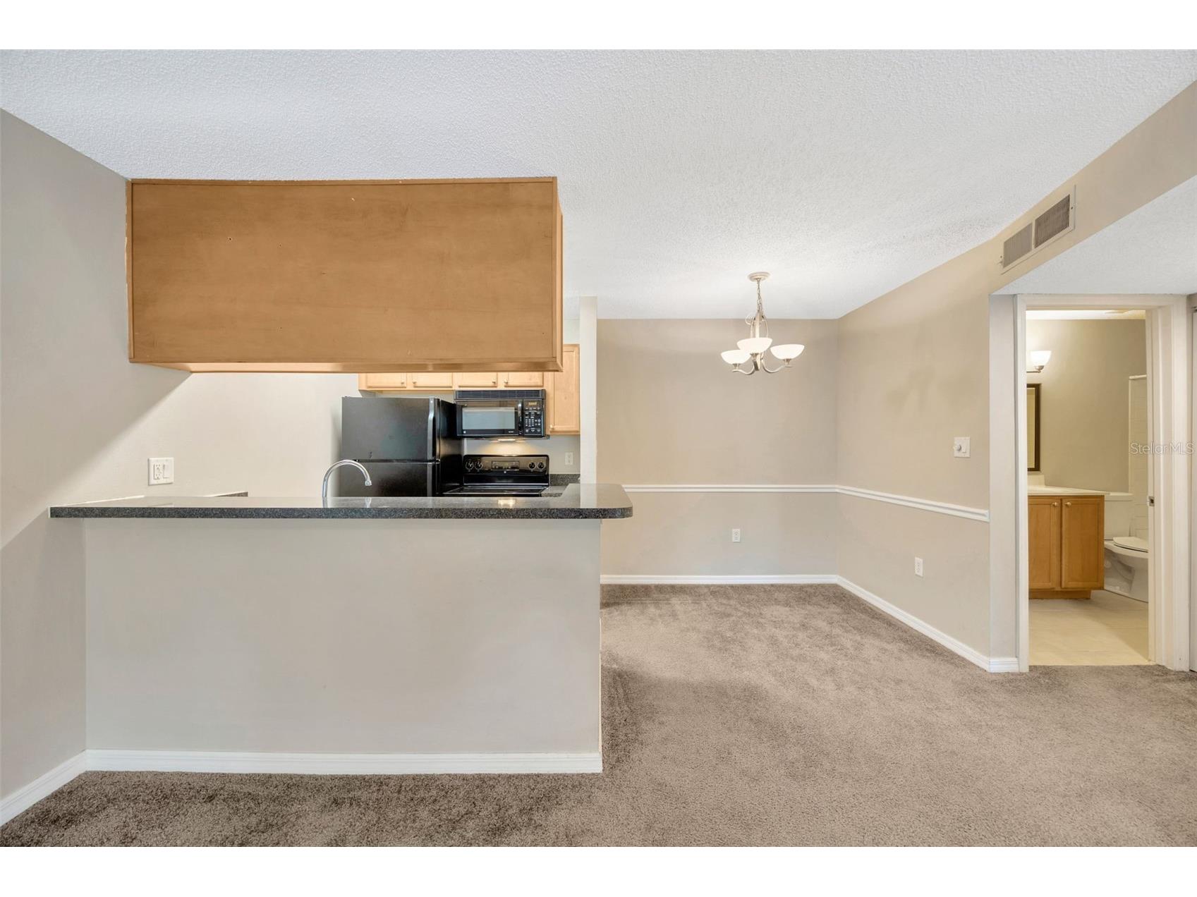 308 Lake Parsons Green #105 Brandon FL 33511 TB8515365 image32