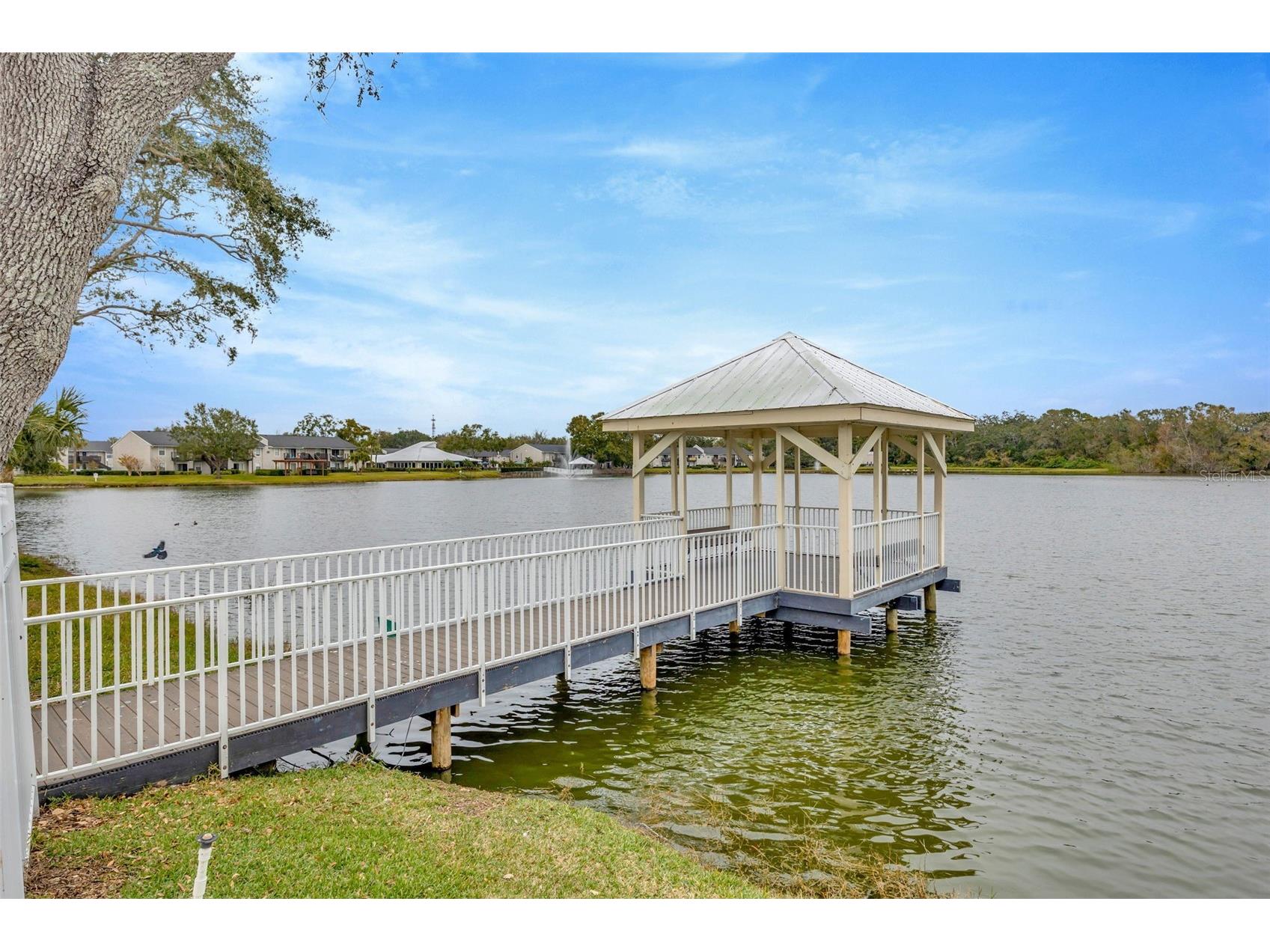 308 Lake Parsons Green #105 Brandon FL 33511 TB8515365 image5
