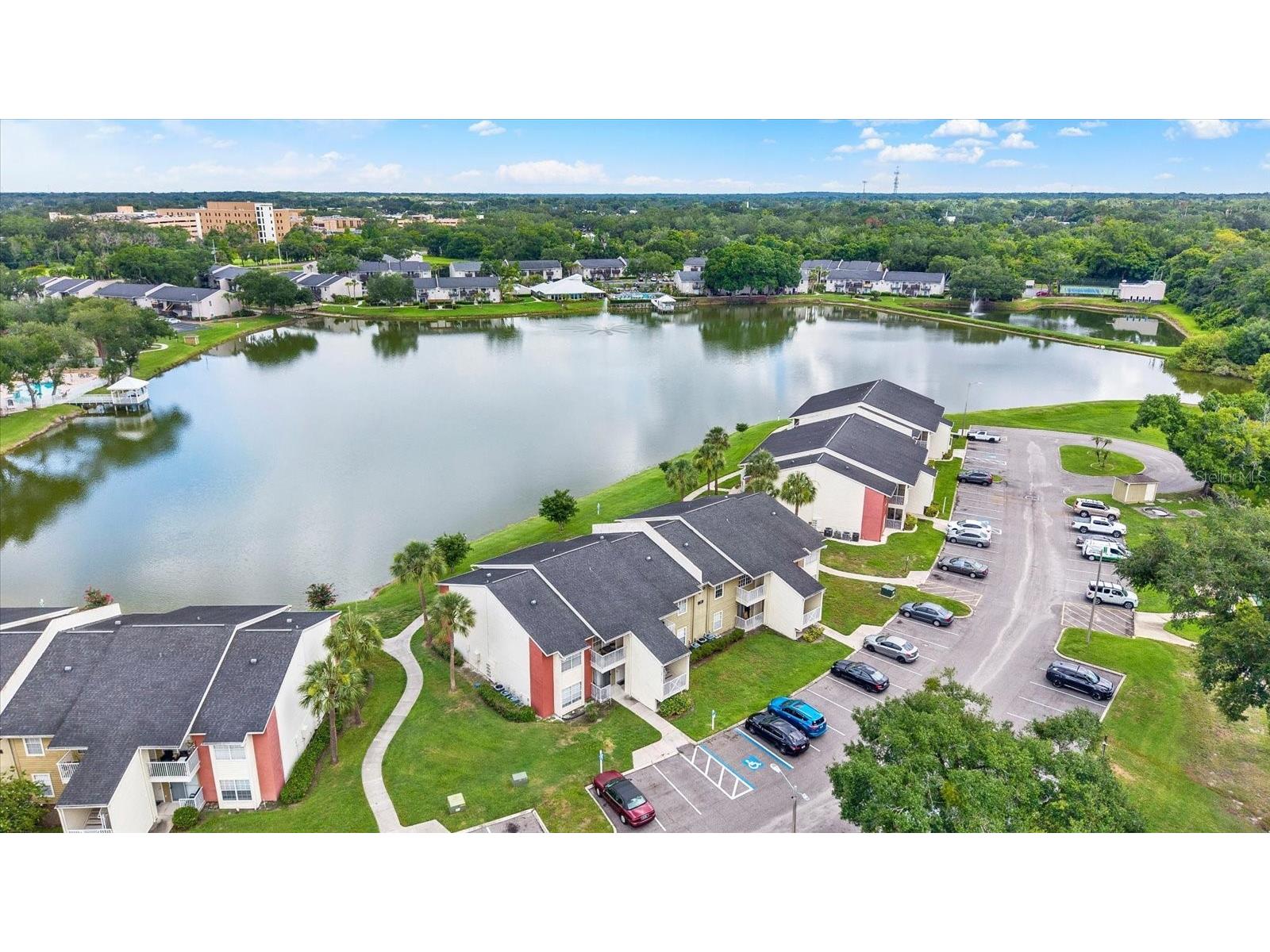 308 Lake Parsons Green #203 Brandon FL 33511 TB8519584 image22