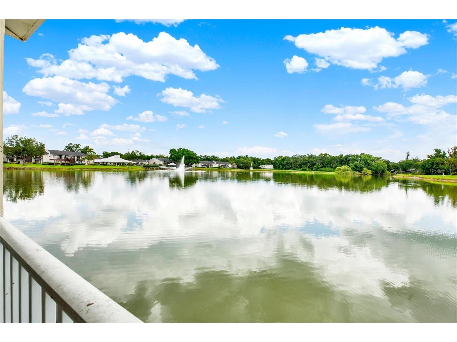 308 Lake Parsons Green #203 Brandon FL 33511 TB8519584 image30
