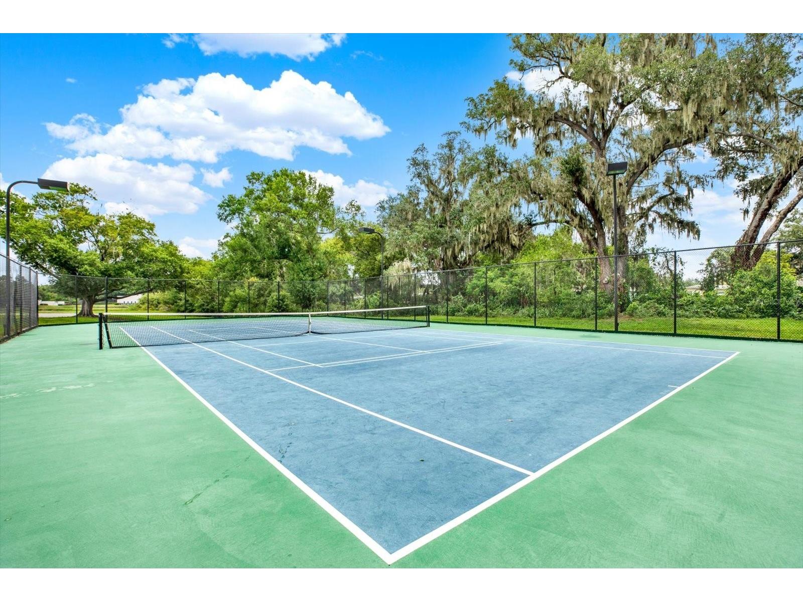 308 Lake Parsons Green #203 Brandon FL 33511 TB8519584 image31