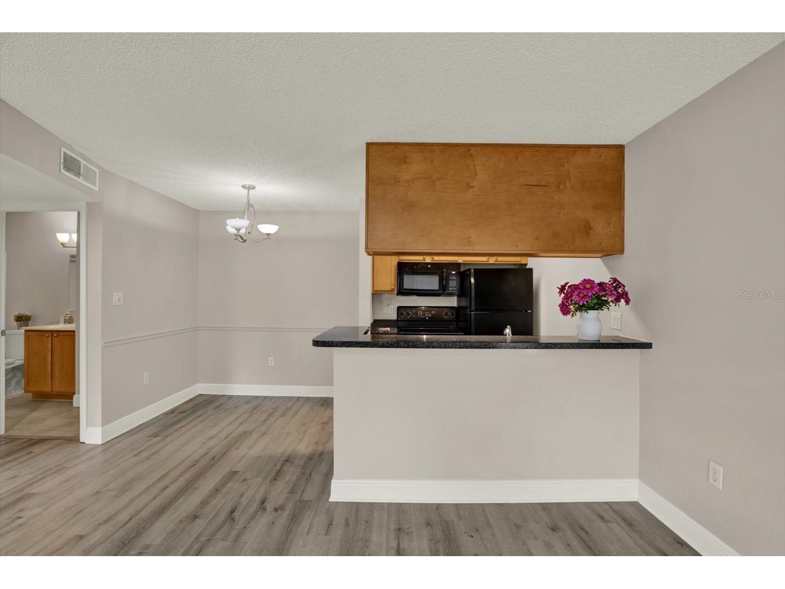 308 Lake Parsons Green #203 Brandon FL 33511 TB8519584 image5