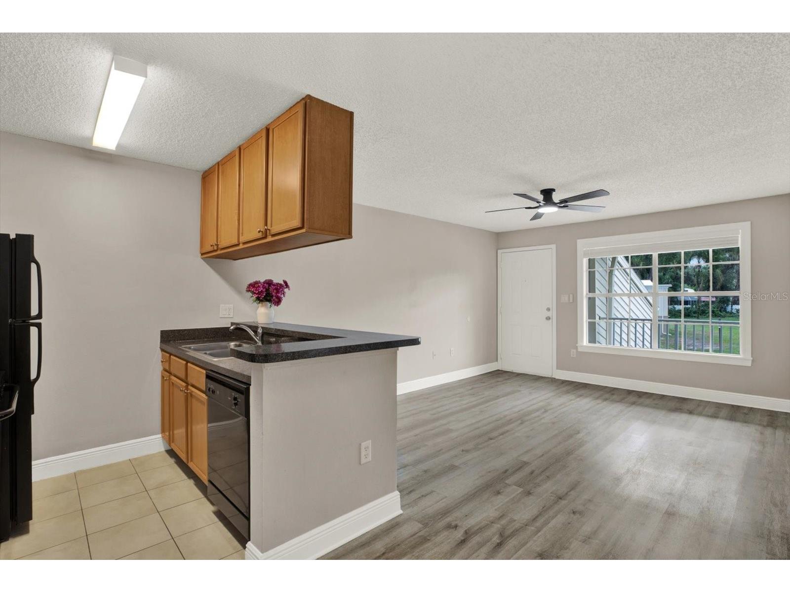 308 Lake Parsons Green #203 Brandon FL 33511 TB8519584 image7