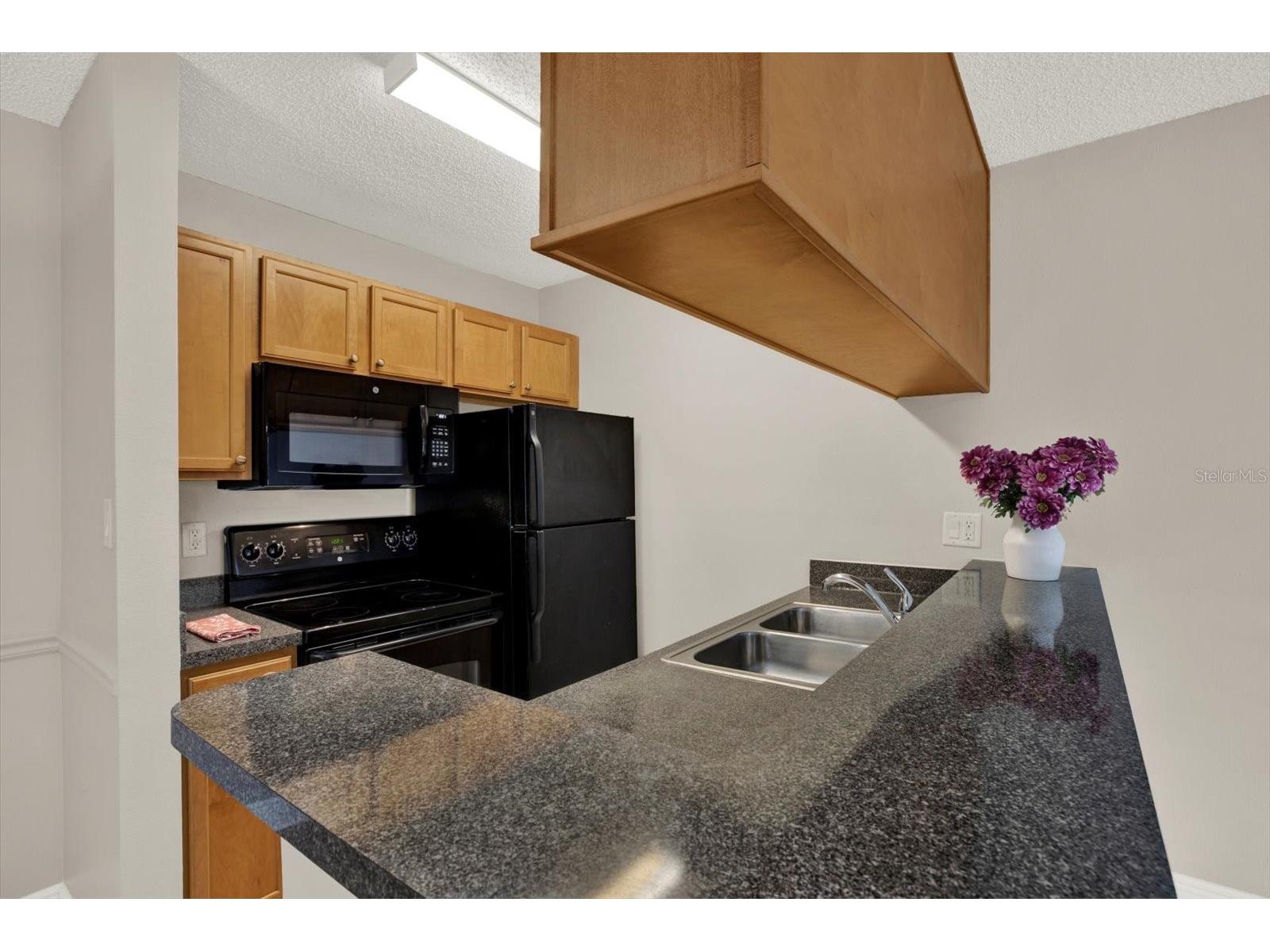 308 Lake Parsons Green #203 Brandon FL 33511 TB8519584 image8