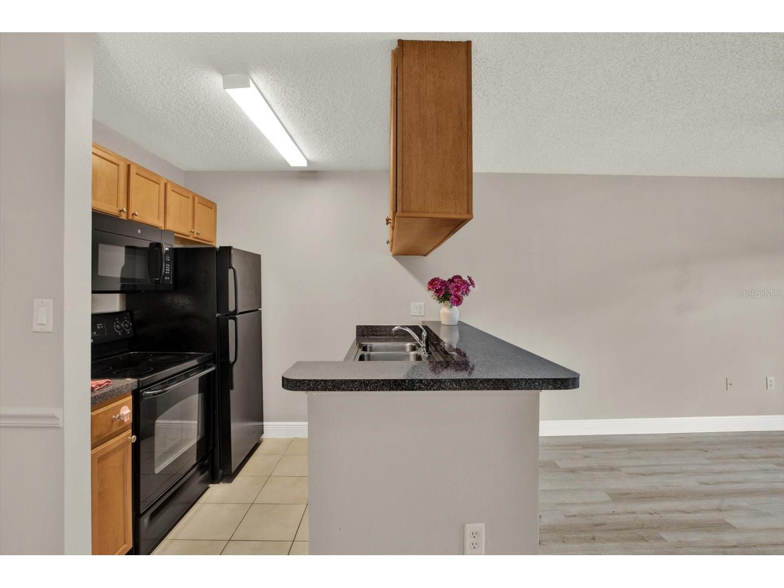 308 Lake Parsons Green #203 Brandon FL 33511 TB8519584 image9