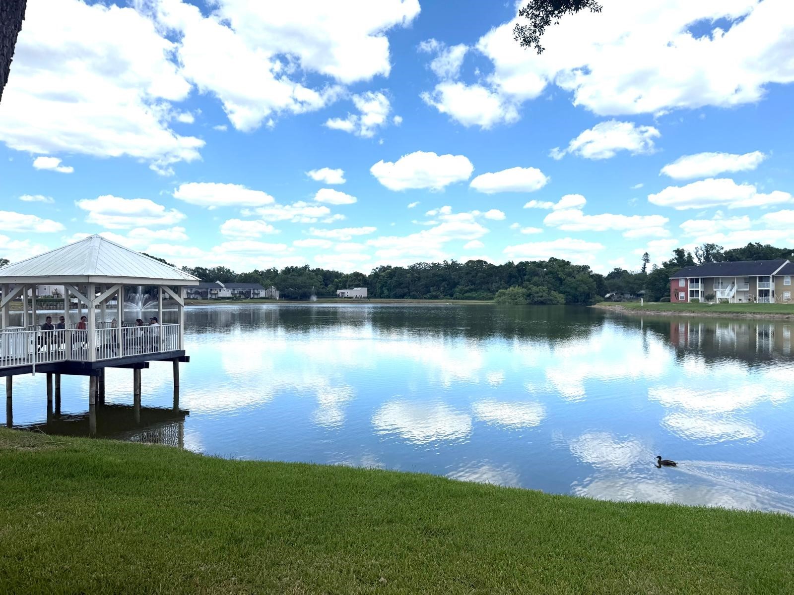 308 Lake Parsons Green #206 Brandon FL 33511 OM722977 image12