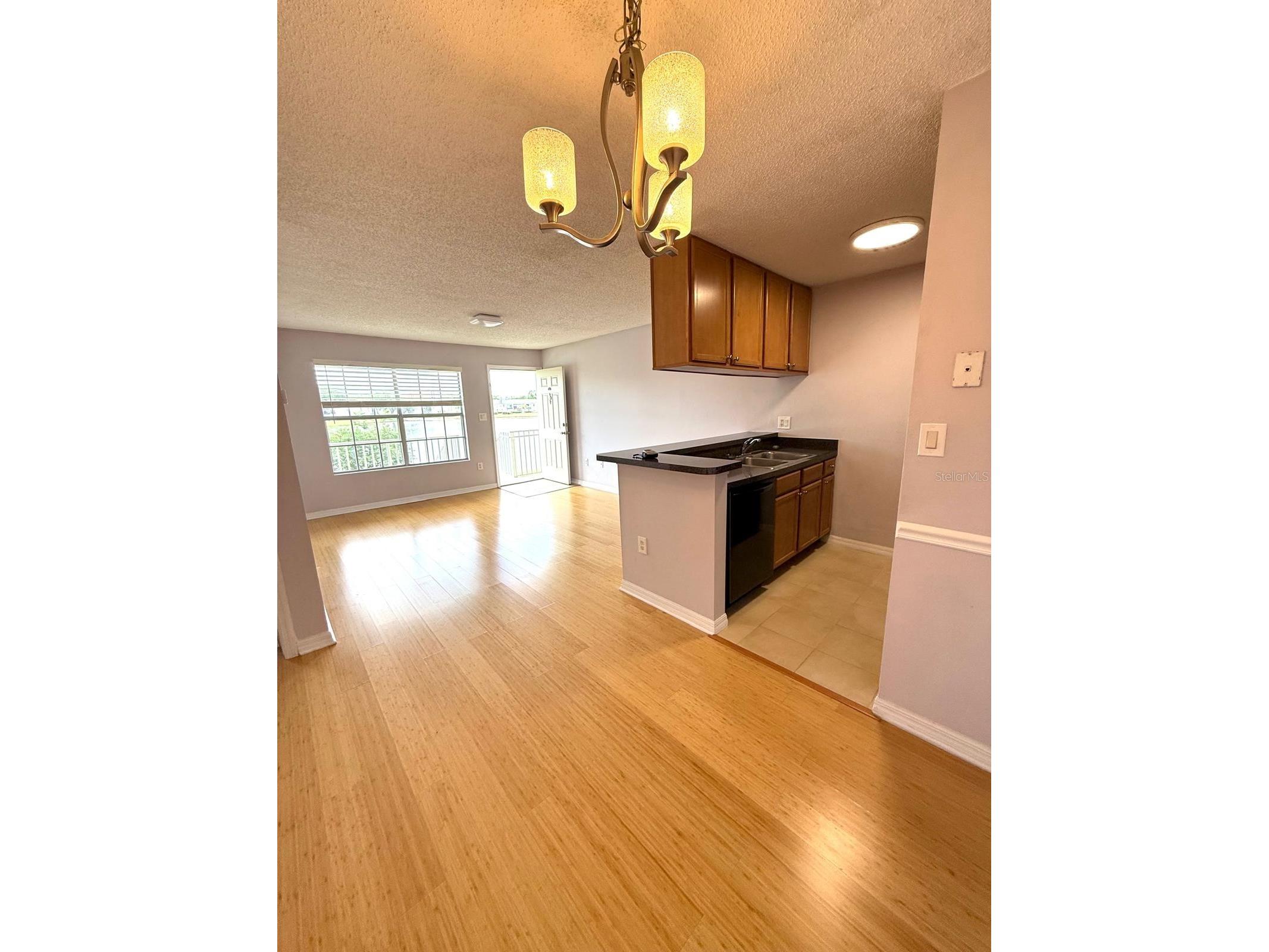 308 Lake Parsons Green #206 Brandon FL 33511 OM722977 image3