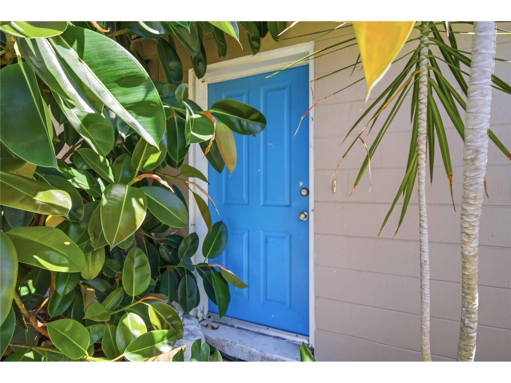 308 Lantana Avenue Sarasota FL 34243 A4691141 image21