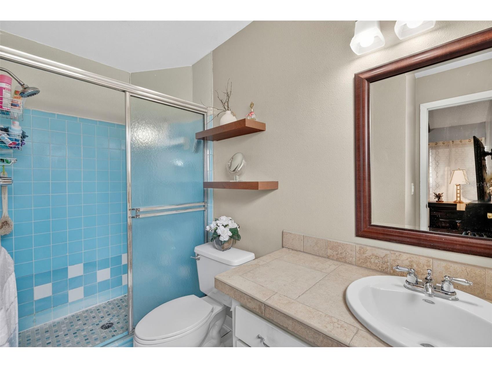 308 N Miller Road Valrico FL 33594 TB8510046 image15