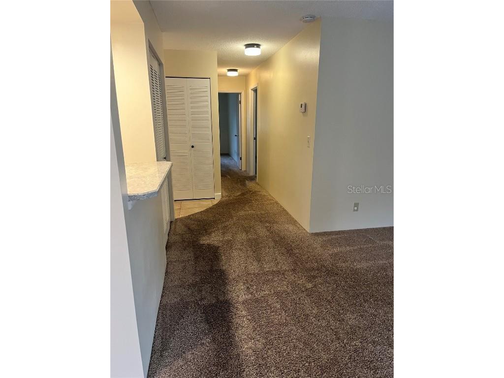 308 Palm Coast Parkway NE #203 Palm Coast FL 32137 FC314146 image10