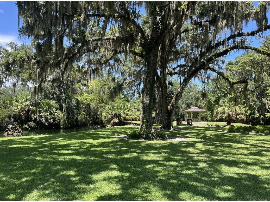 308 Palm Coast Parkway NE #203 Palm Coast FL 32137 FC314146 image19