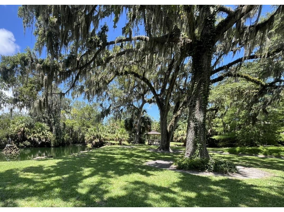 308 Palm Coast Parkway NE #203 Palm Coast FL 32137 FC314146 image20