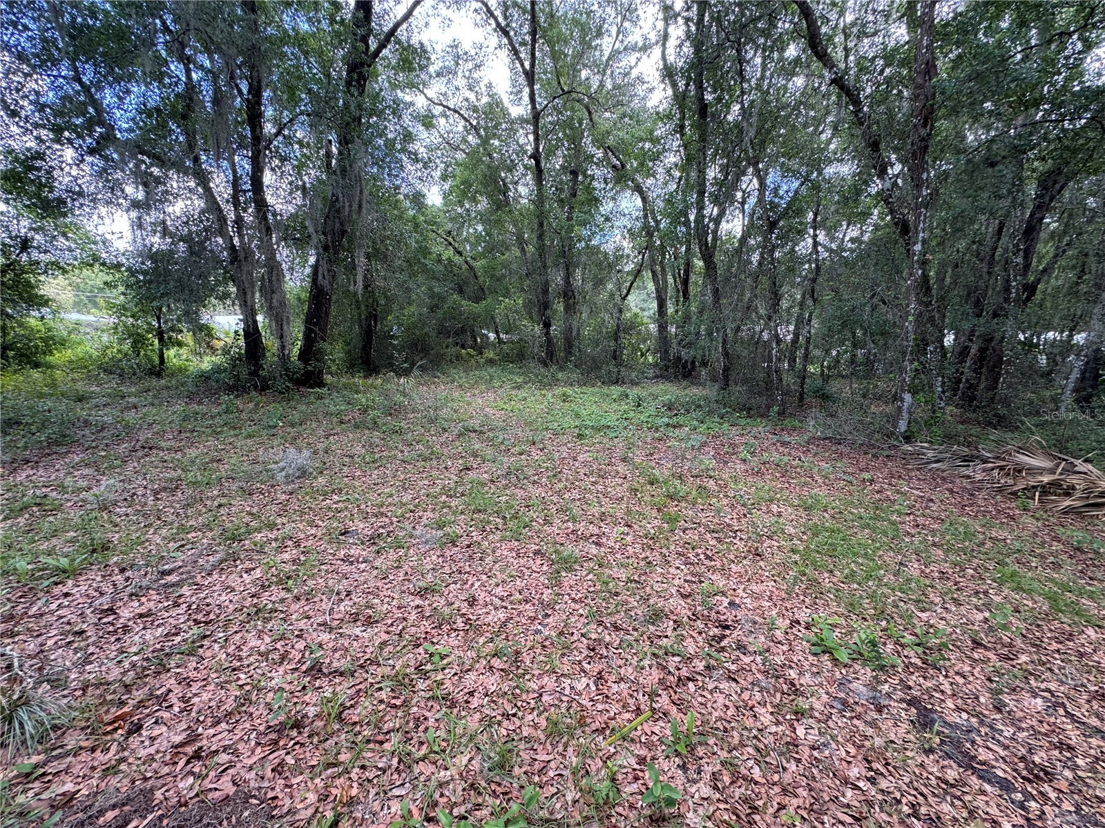 308 S Blue Lake Avenue Deland FL 32724 O6412186 image12