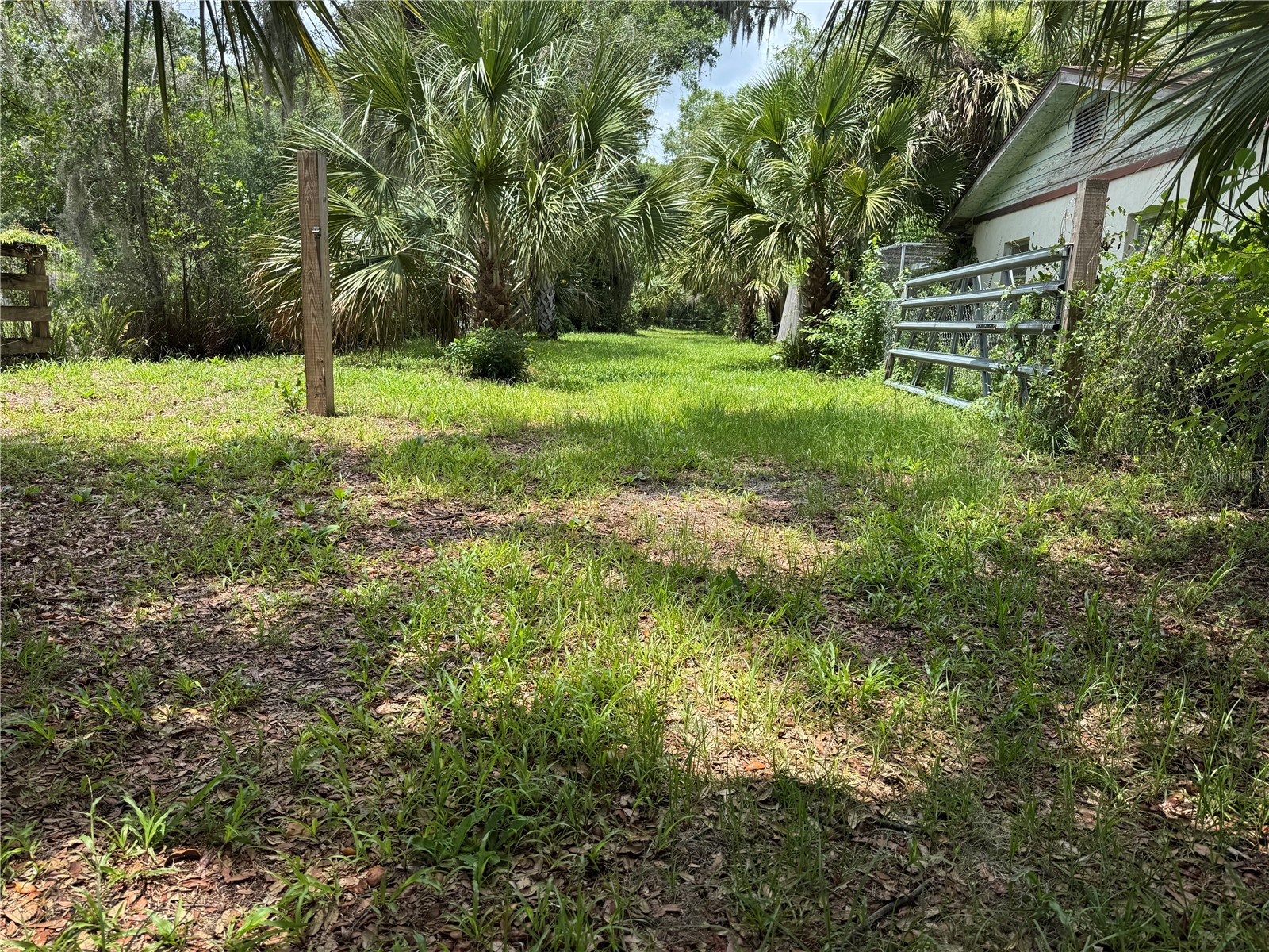 308 S Blue Lake Avenue Deland FL 32724 O6412186 image3
