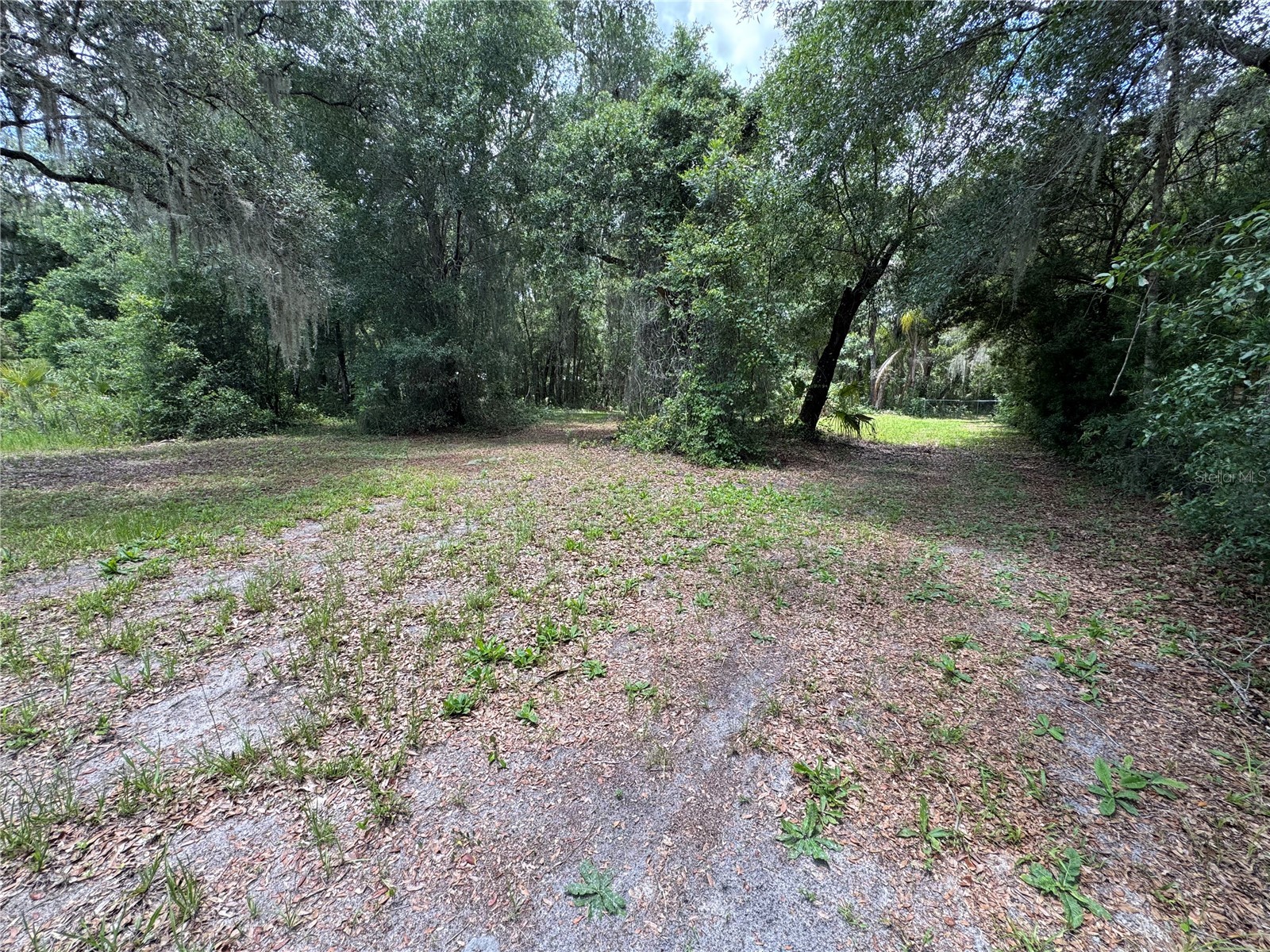 308 S Blue Lake Avenue Deland FL 32724 O6412186 image6