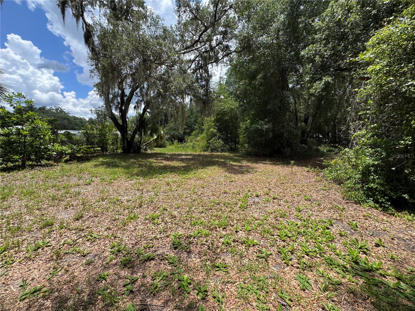 308 S Blue Lake Avenue Deland FL 32724 O6412186 image7