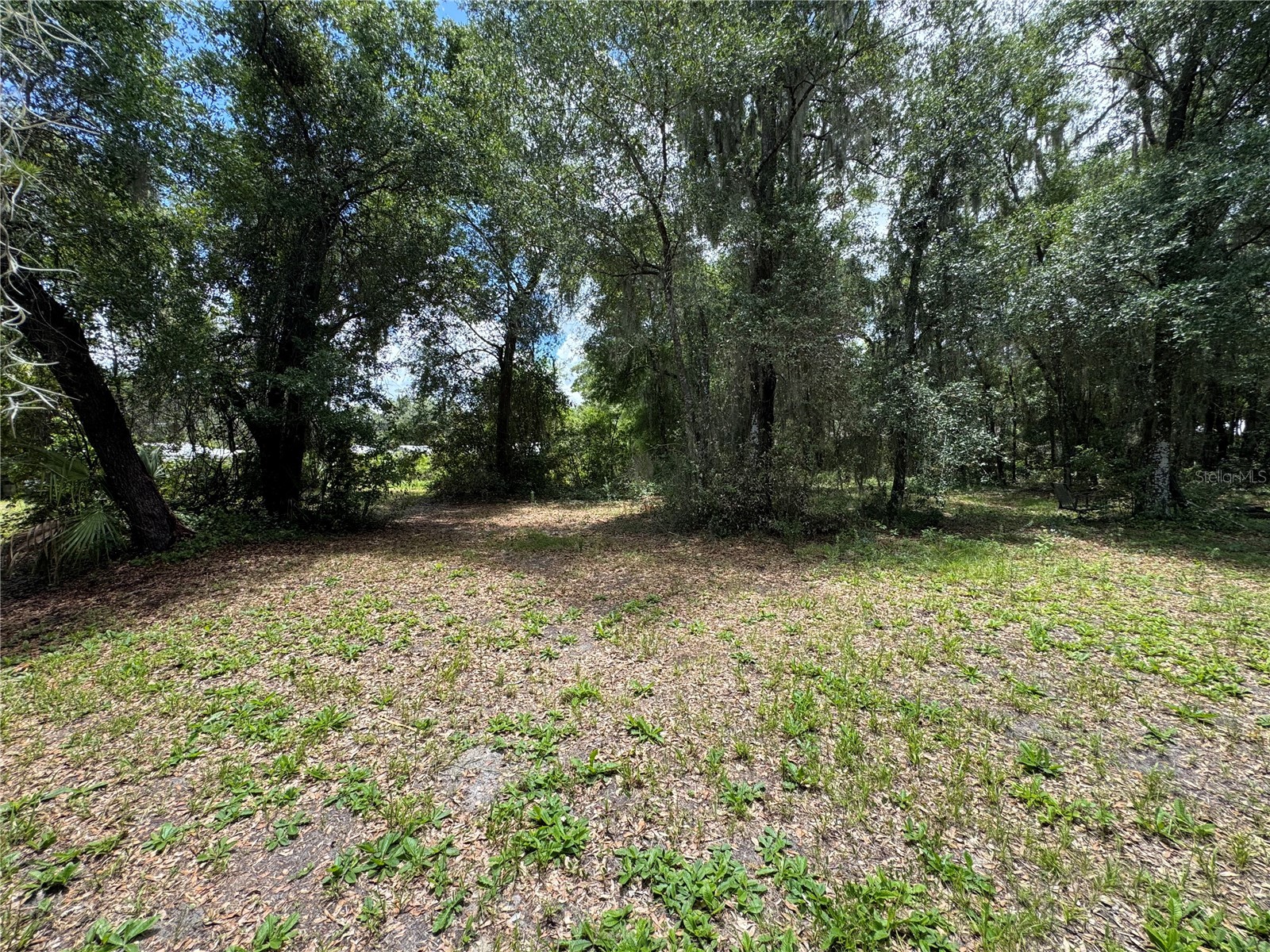 308 S Blue Lake Avenue Deland FL 32724 O6412186 image9