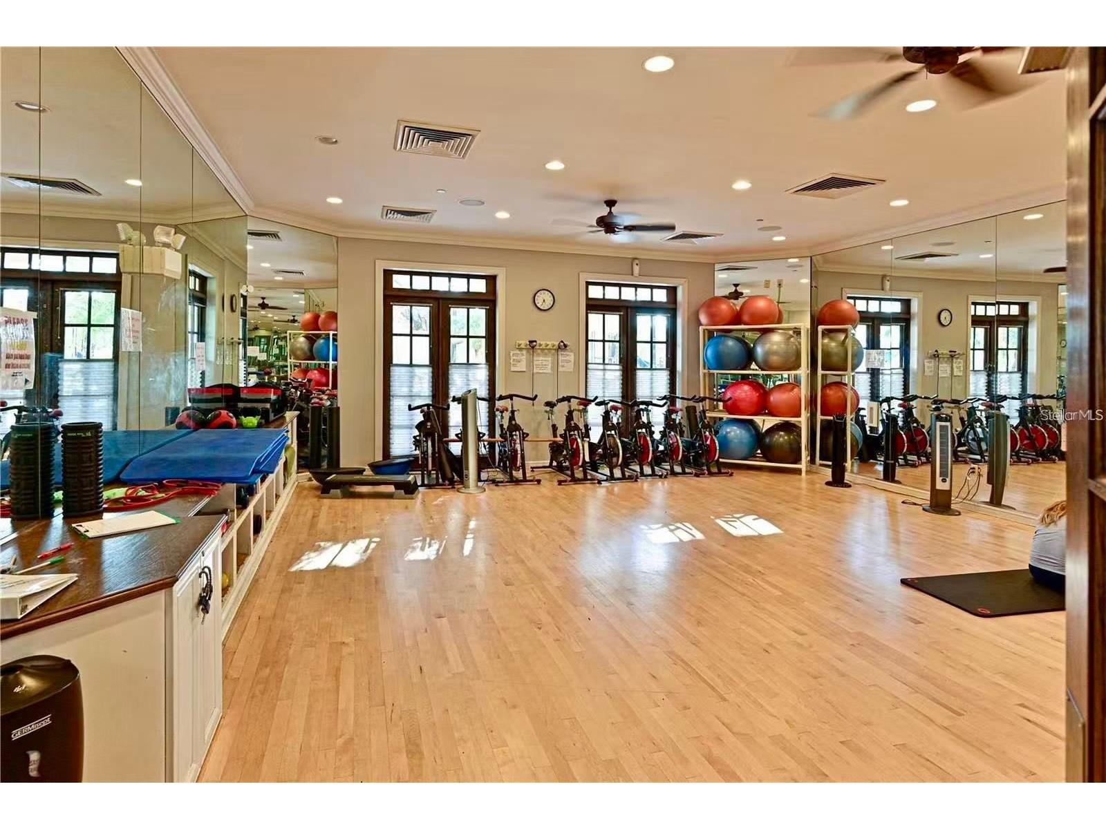 308 Shore Crab Way Apollo Beach FL 33572 TB8517514 image30