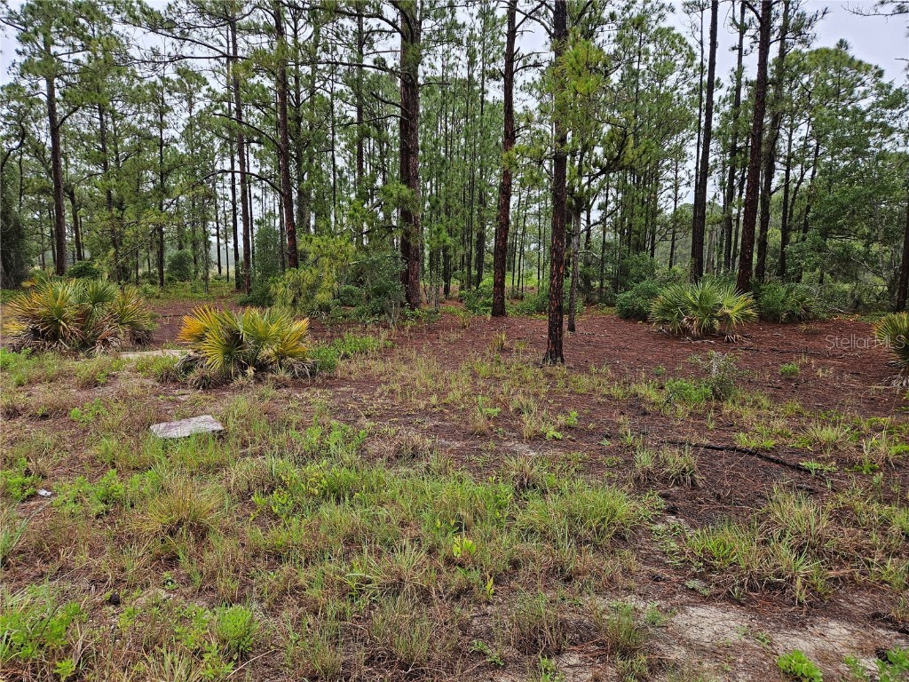 308 Sunflower Avenue Lake Placid FL 33852 S5128012 image1
