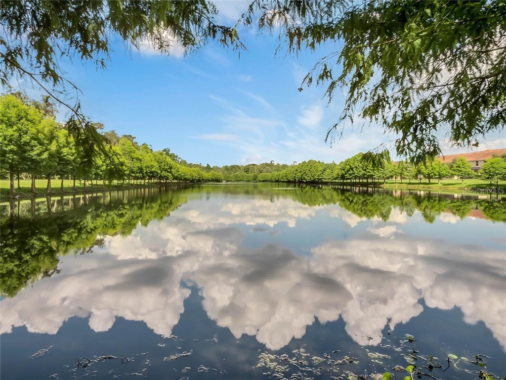 308 Terracina Drive Sanford FL 32771 O6360710 image39