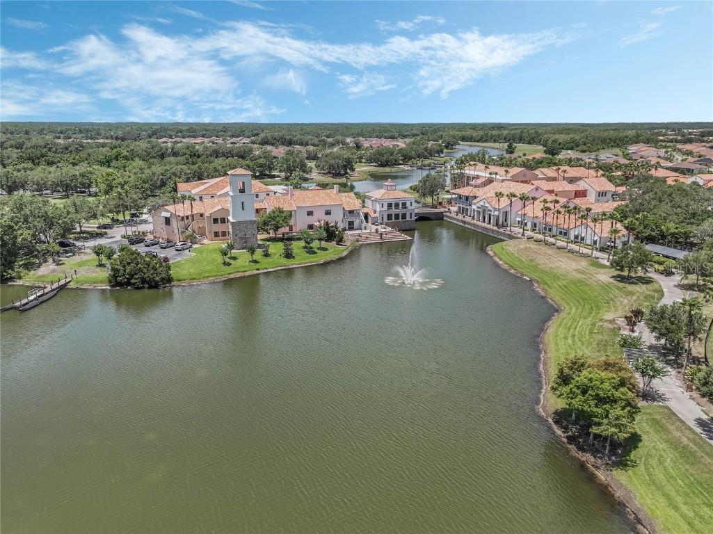 308 Vestrella Drive Kissimmee FL 34759 O6274903 image37