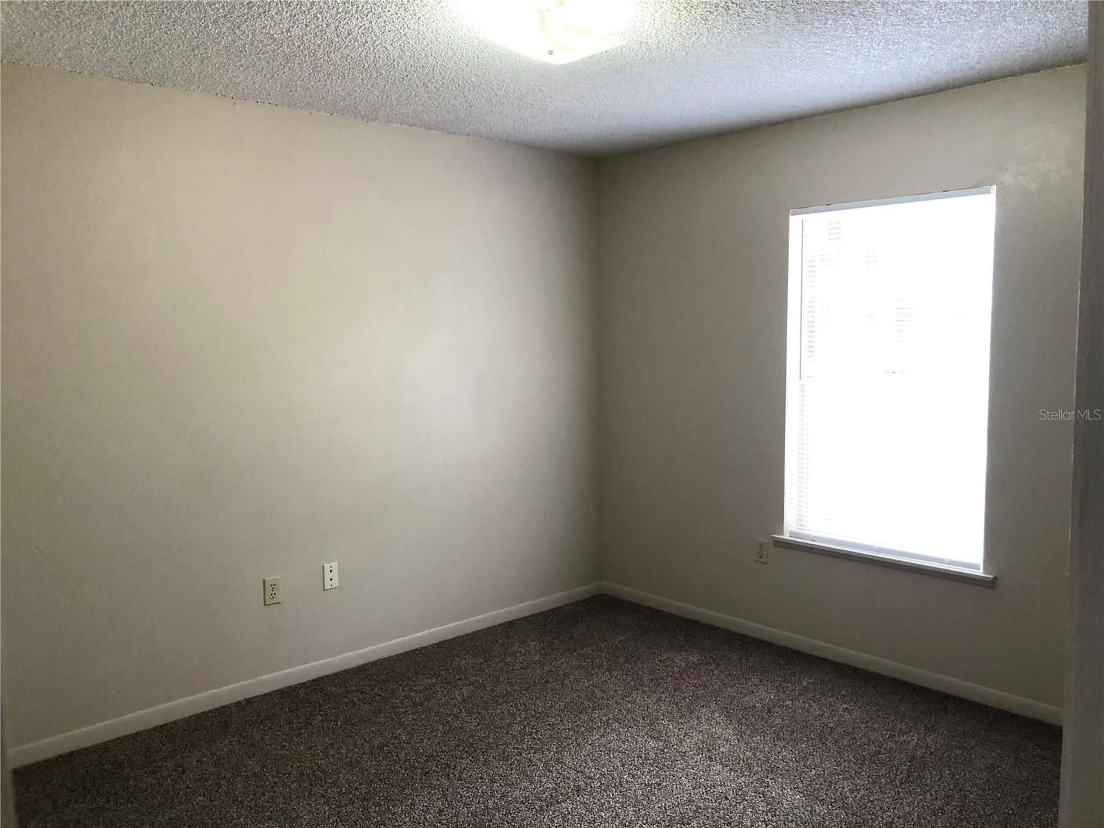 308 W Crescent Drive #2 Lakeland FL 33805 L4961469 image6