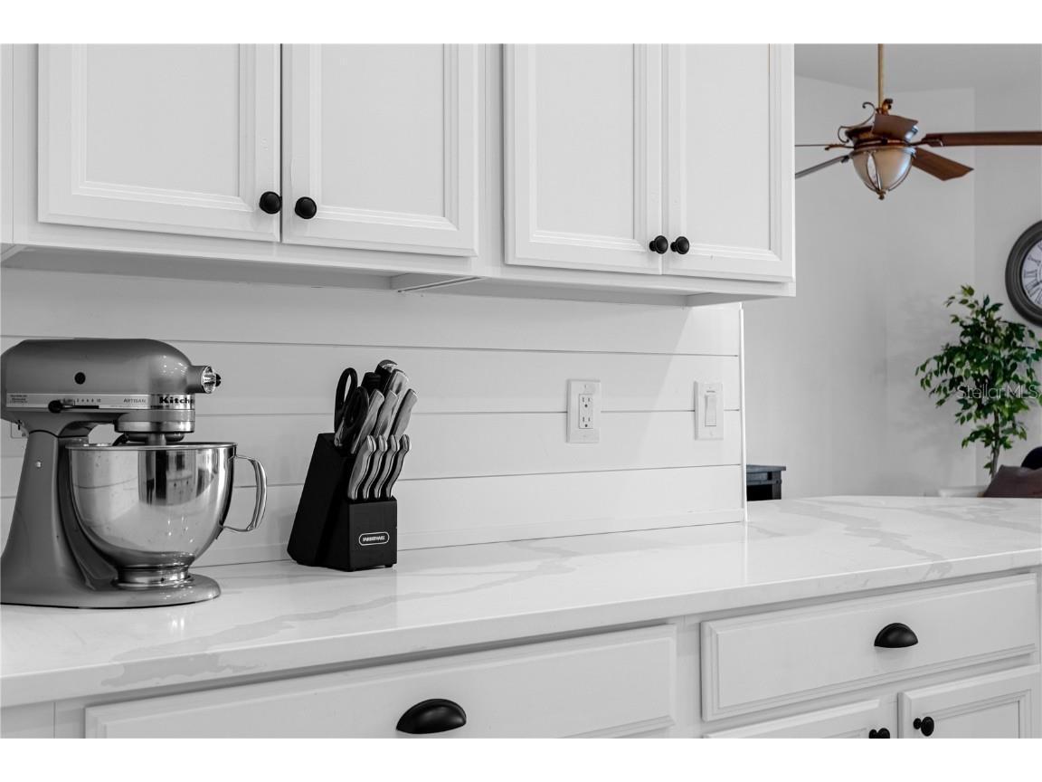 308 Yellow Snapdragon Drive Davenport FL 33837 S5125563 image15