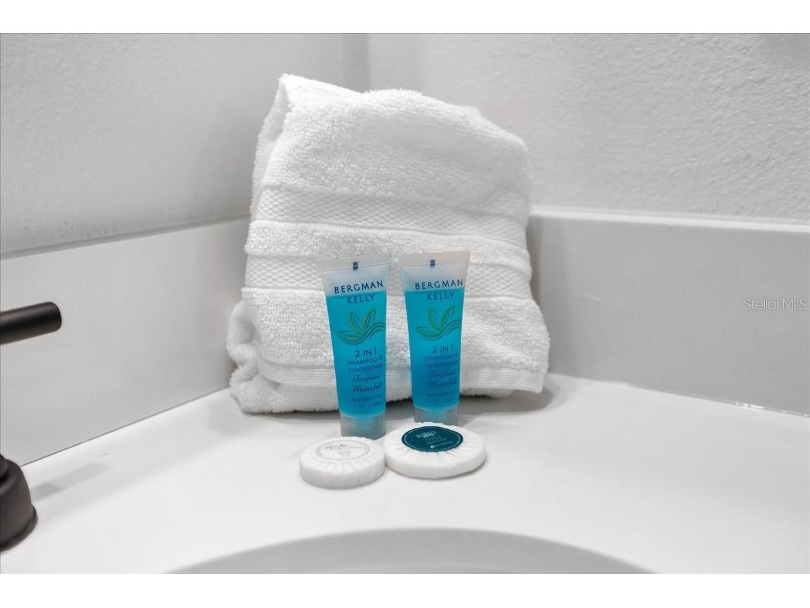 308 Yellow Snapdragon Drive Davenport FL 33837 S5125563 image45