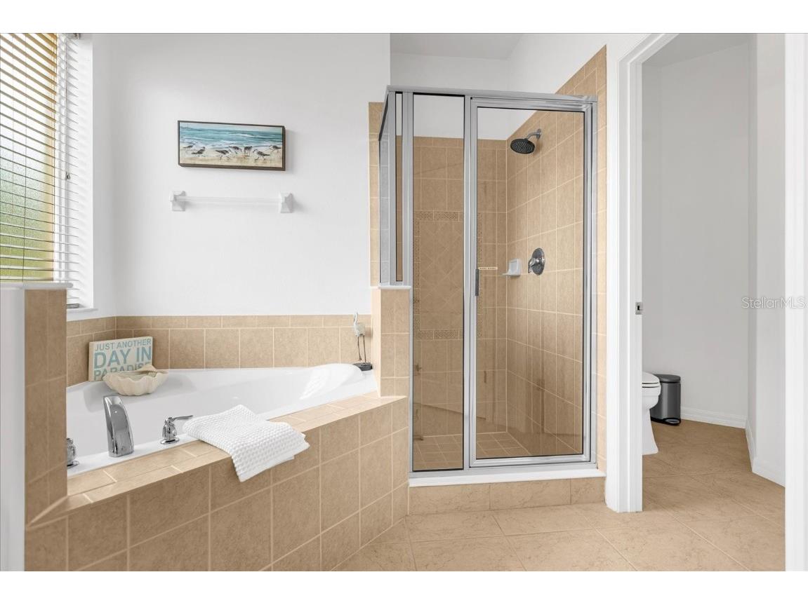 308 Yellow Snapdragon Drive Davenport FL 33837 S5125563 image46