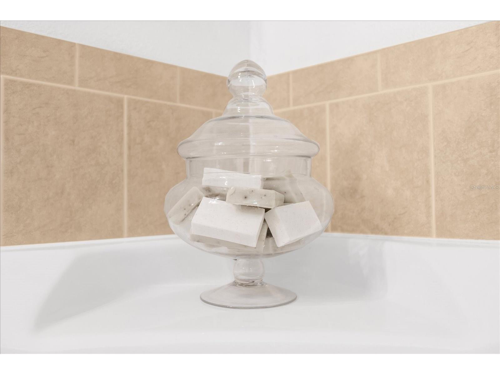 308 Yellow Snapdragon Drive Davenport FL 33837 S5145326 image46