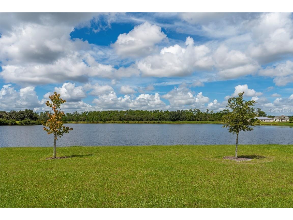 3080 Ella Way Saint Cloud FL 34771 O6333560 image51