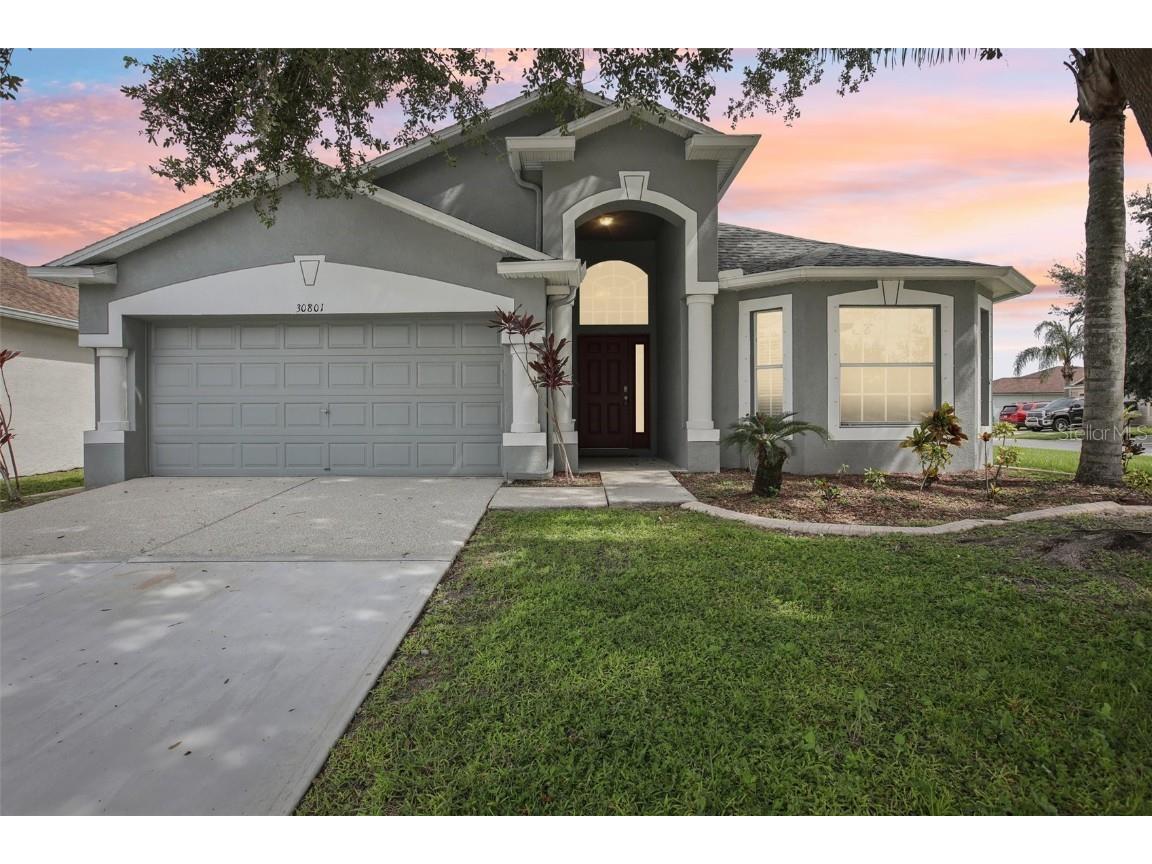 30801 Birdhouse Drive Wesley Chapel FL 33545 TB8422359 image1