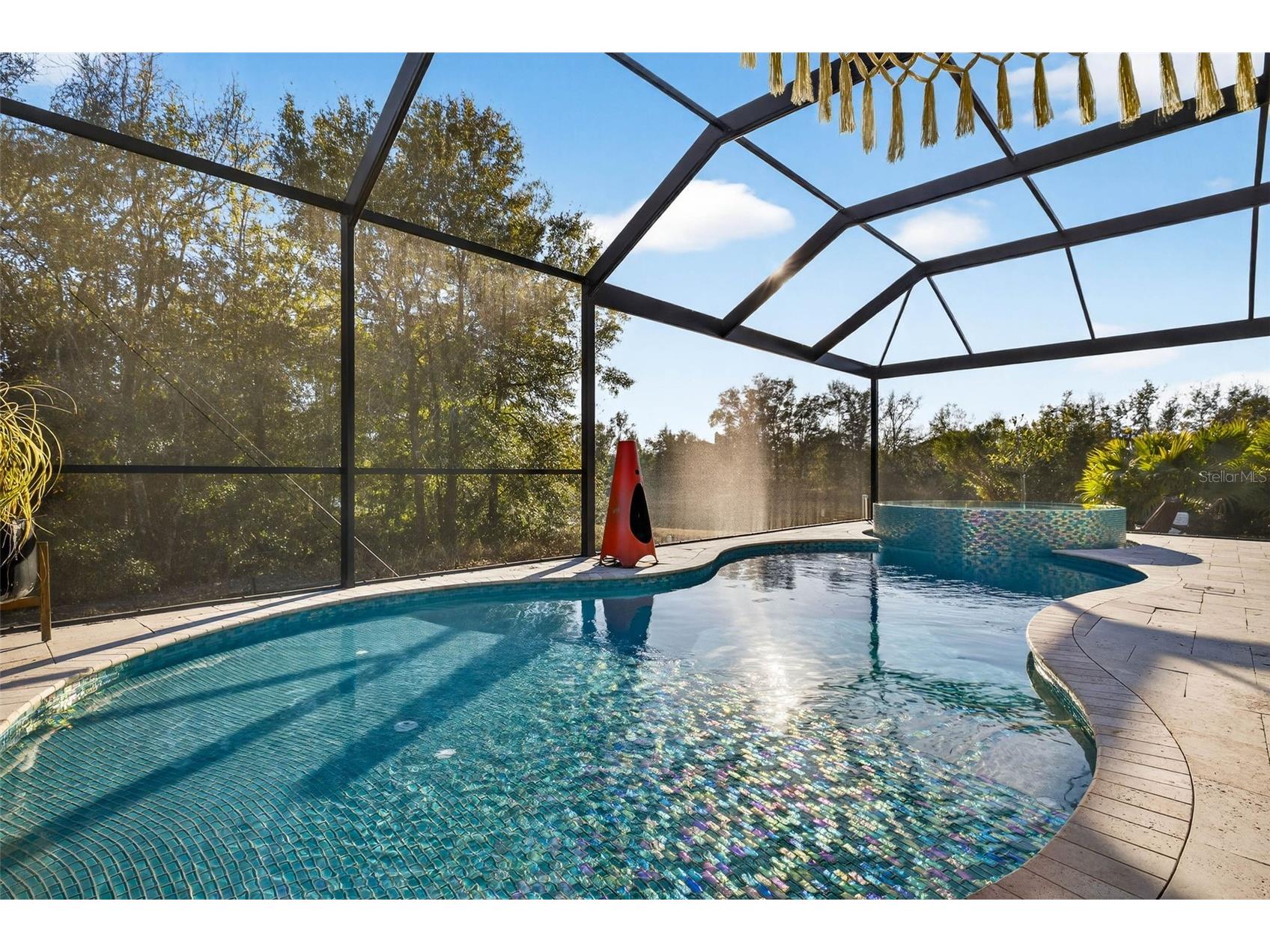 30801 Parrot Reef Wesley Chapel FL 33545 TB8454885 image37