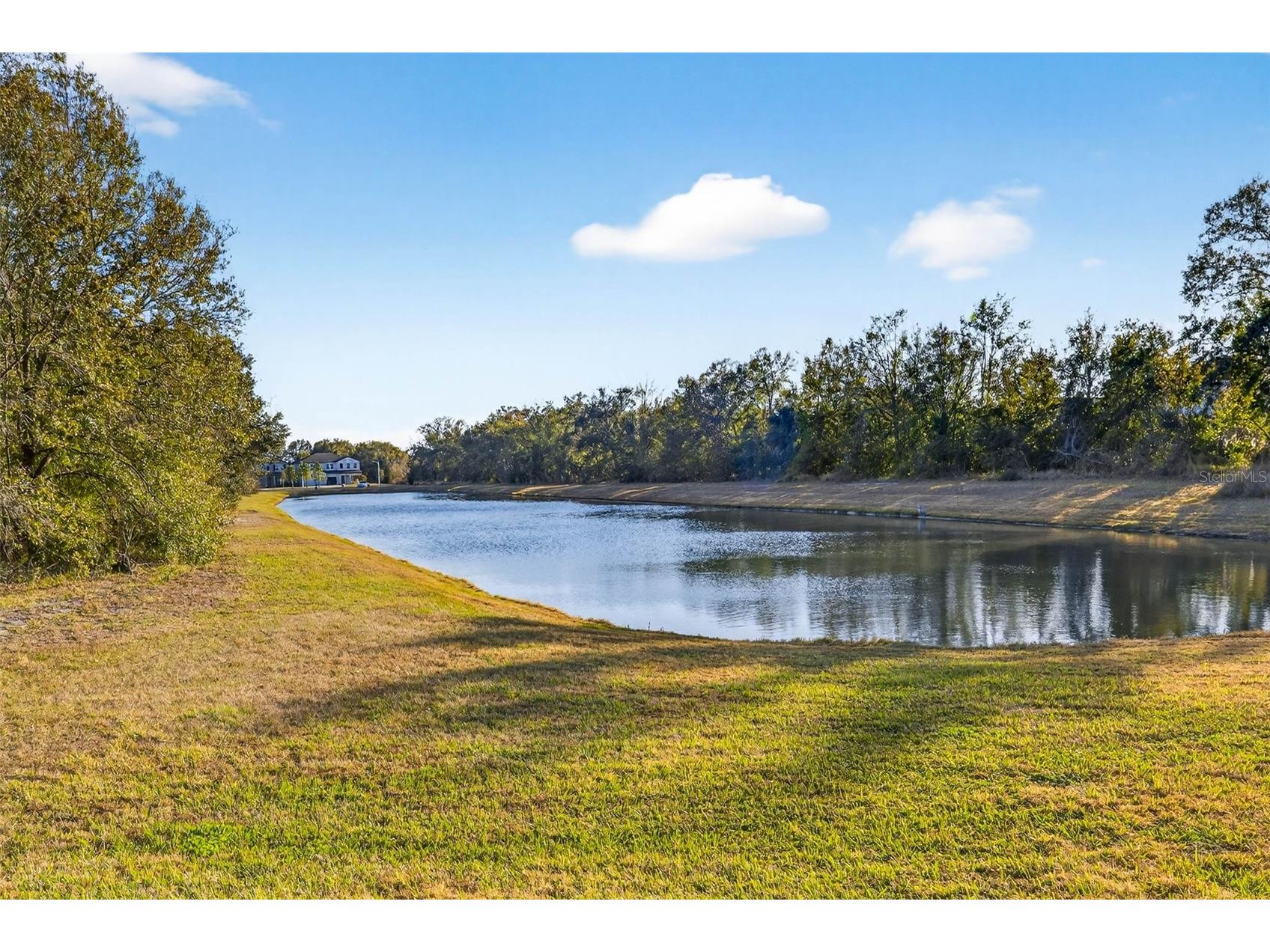 30801 Parrot Reef Wesley Chapel FL 33545 TB8454885 image42