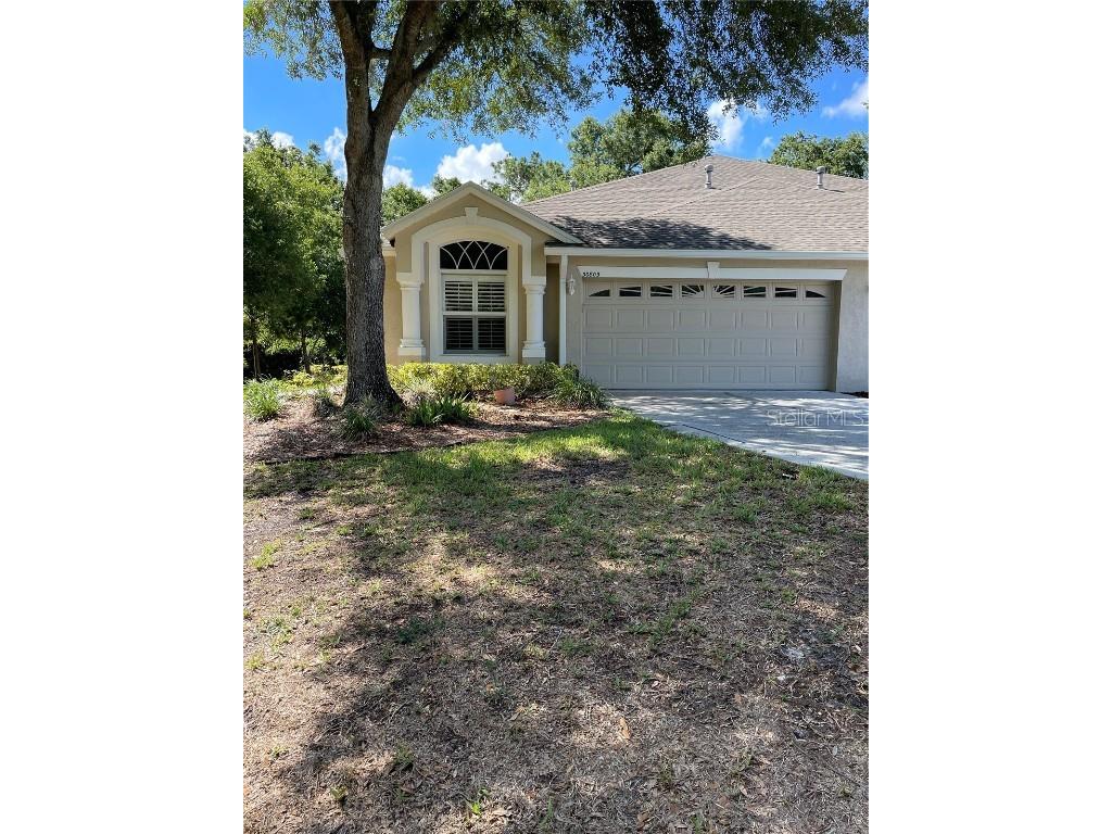 30803 Prout Court Wesley Chapel FL 33543 T3534114 image1