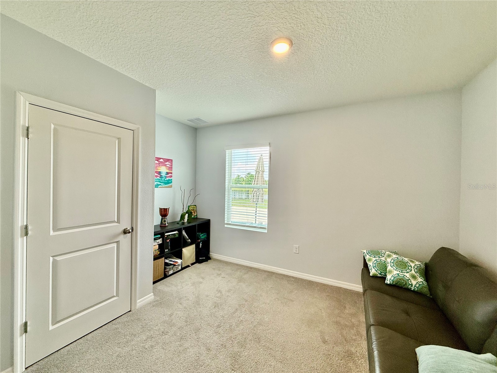 30807 Penny Surf Loop Wesley Chapel FL 33545 TB8529108 image15
