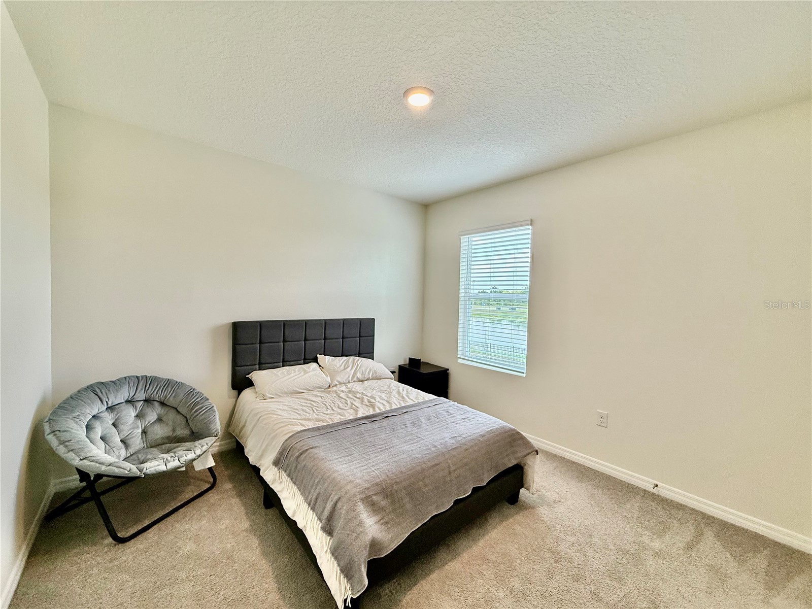 30807 Penny Surf Loop Wesley Chapel FL 33545 TB8529108 image21
