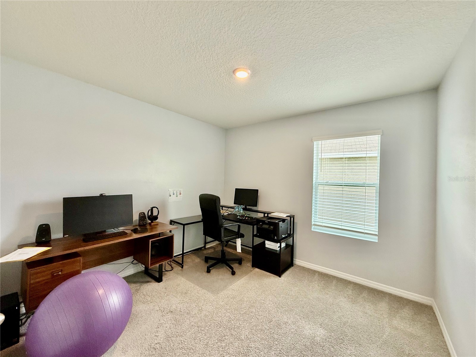 30807 Penny Surf Loop Wesley Chapel FL 33545 TB8529108 image23