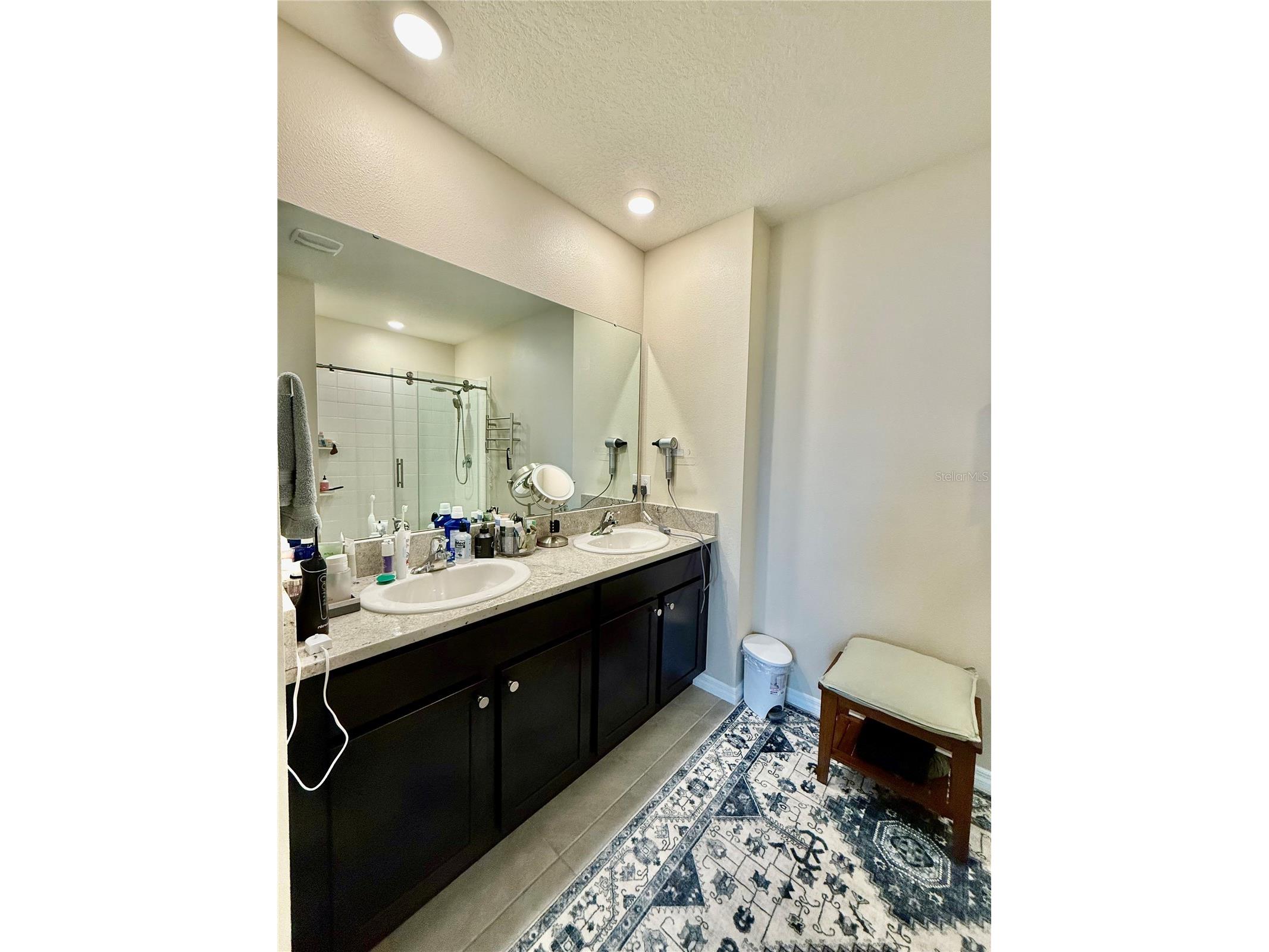 30807 Penny Surf Loop Wesley Chapel FL 33545 TB8529108 image28