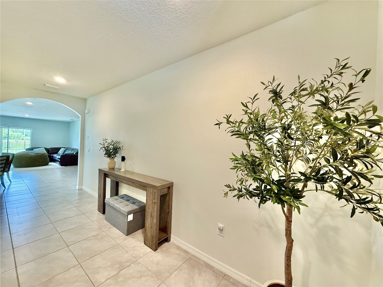 30807 Penny Surf Loop Wesley Chapel FL 33545 TB8529108 image3