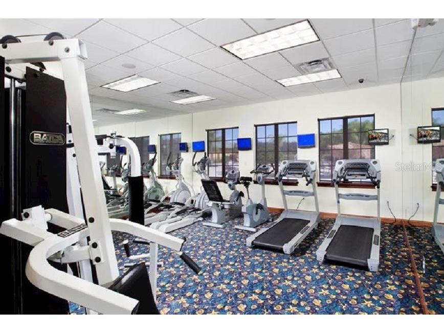 3081 Beach Palm Avenue Kissimmee FL 34747 O6369576 image41