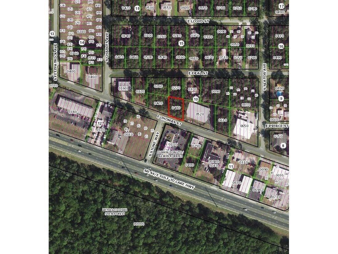 3081 E Thomas Street Inverness FL 34453 TB8483543 image3
