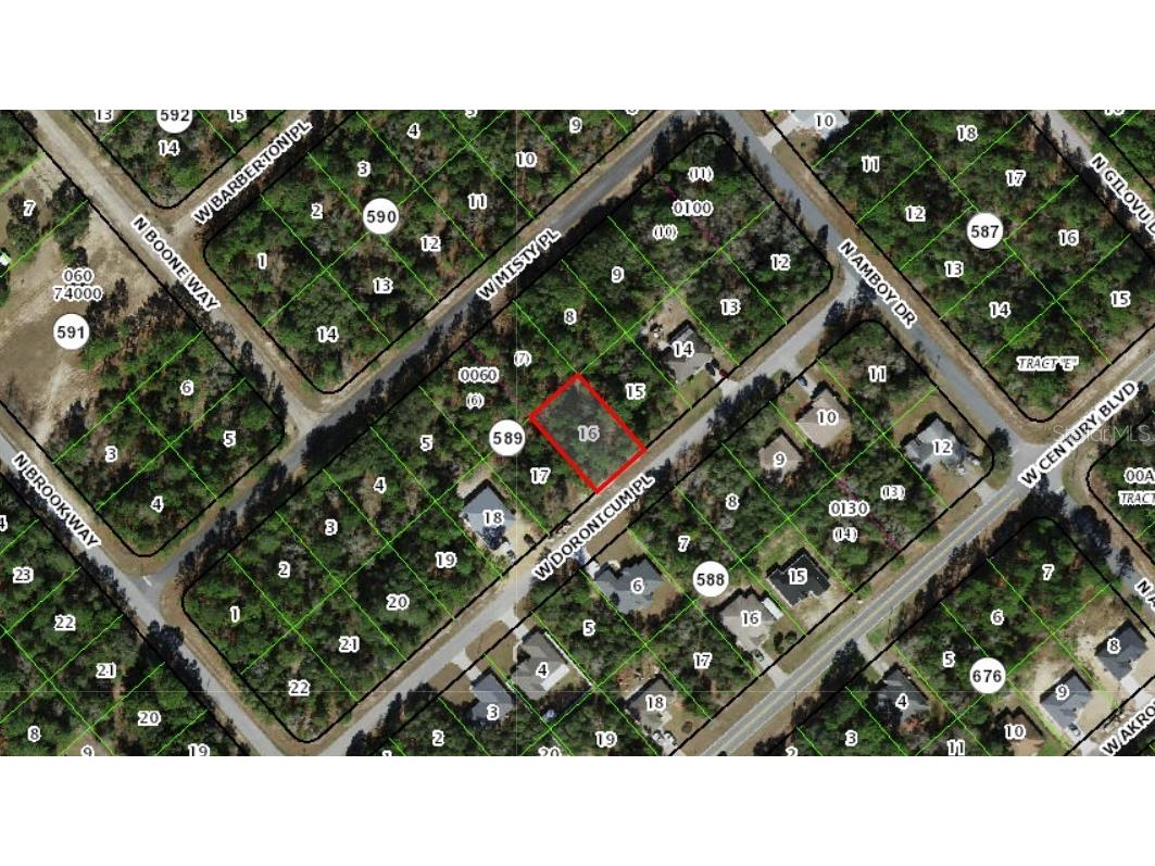 3081 W Doronicum Place Dunnellon FL 34433 FC306661 image1