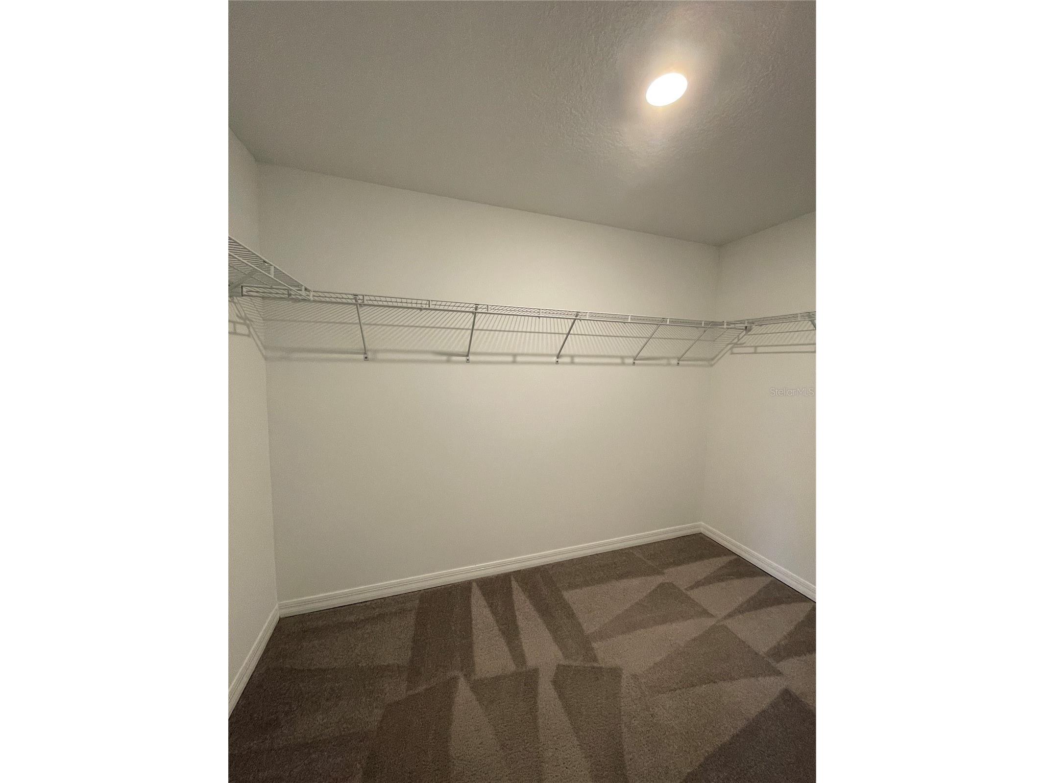 30813 Veridian Way Wesley Chapel FL 33543 TB8463874 image15